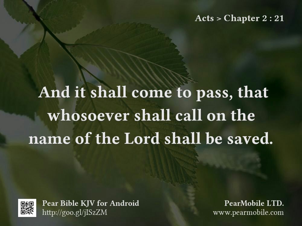 Acts, Chapter 2:21